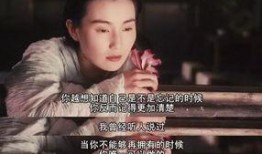 香港明星天涯爆料视频,揭秘娱乐圈不为人知的秘密