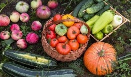 五米娱乐吃瓜,揭秘娱乐圈最新“吃瓜”热点